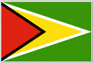 Vận chuyển hàng hóa đi Guyana